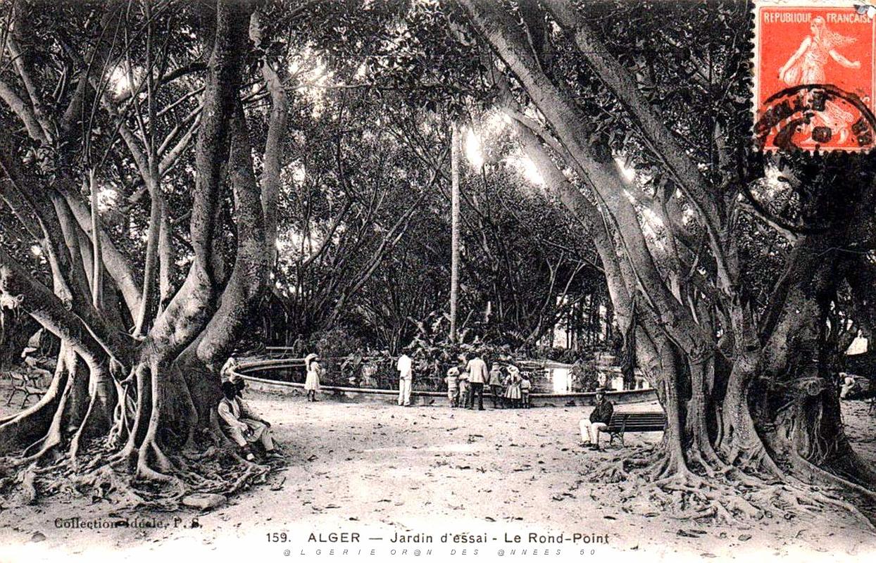 Alger - Le Jardin d'essai - Le Rond-point.jpg